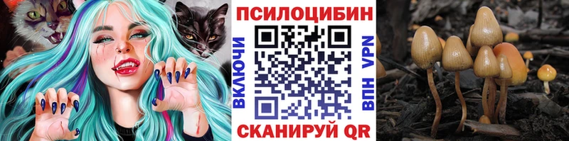Псилоцибиновые грибы Cubensis  Хасавюрт 