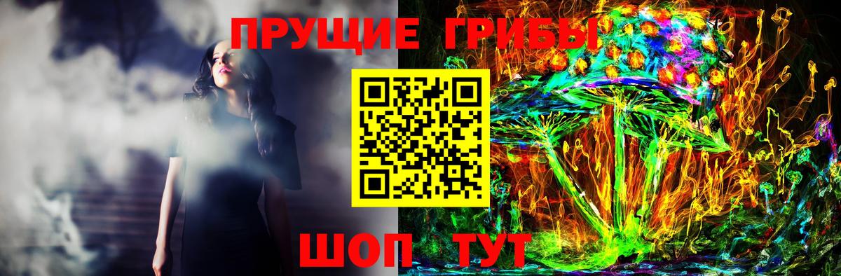 Галлюциногенные грибы GOLDEN TEACHER Хасавюрт