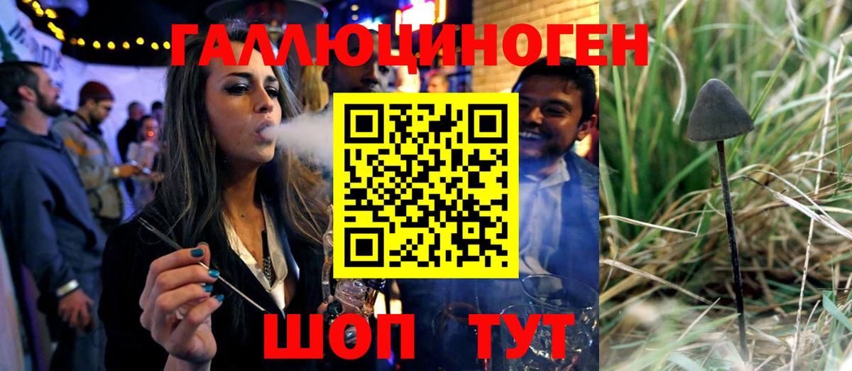 Хасавюрт  Галлюциногенные грибы прущие грибы  Вход с VPN  Галлюциногенные грибы Cubensis 